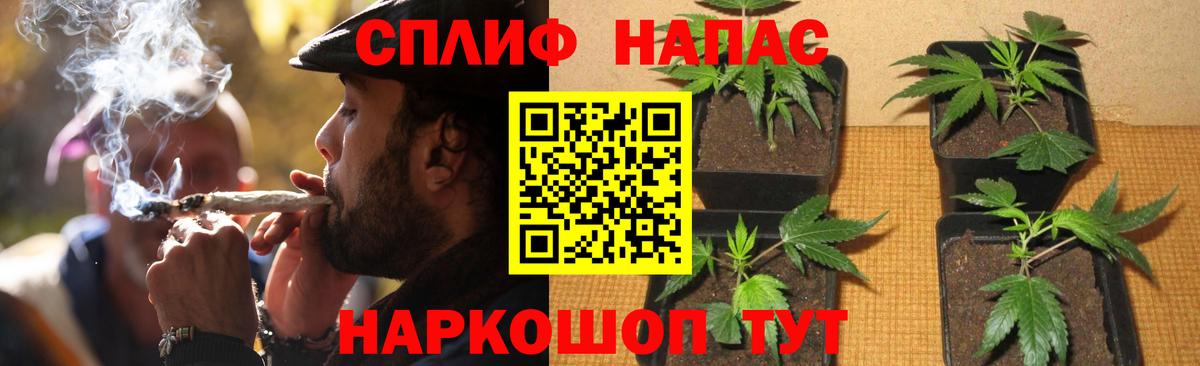 Марихуана план  Бошки Шишки гибрид  Конопля Amnesia  Заволжье  Вход с VPN 